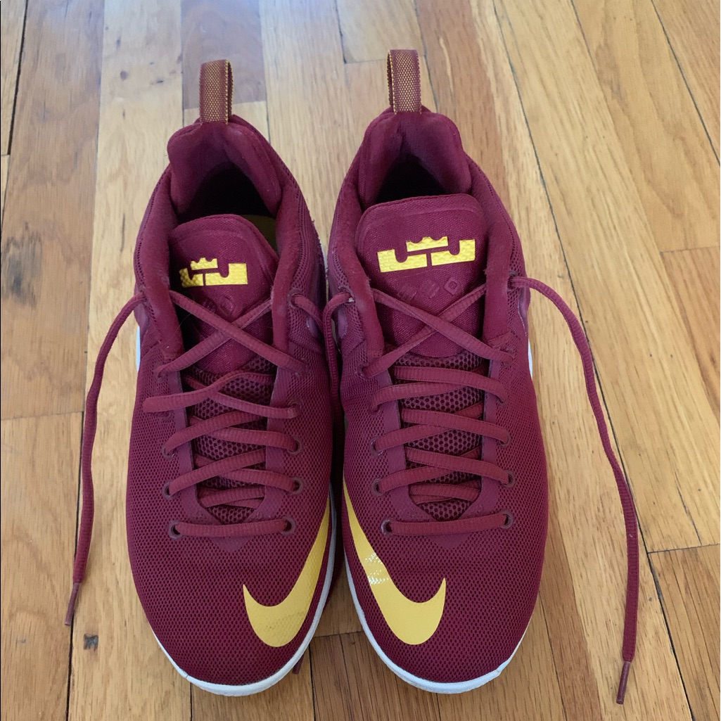Lebron Sneakers